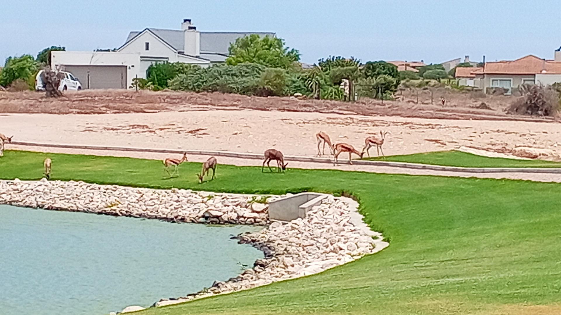  of property in Langebaan Country Estate
