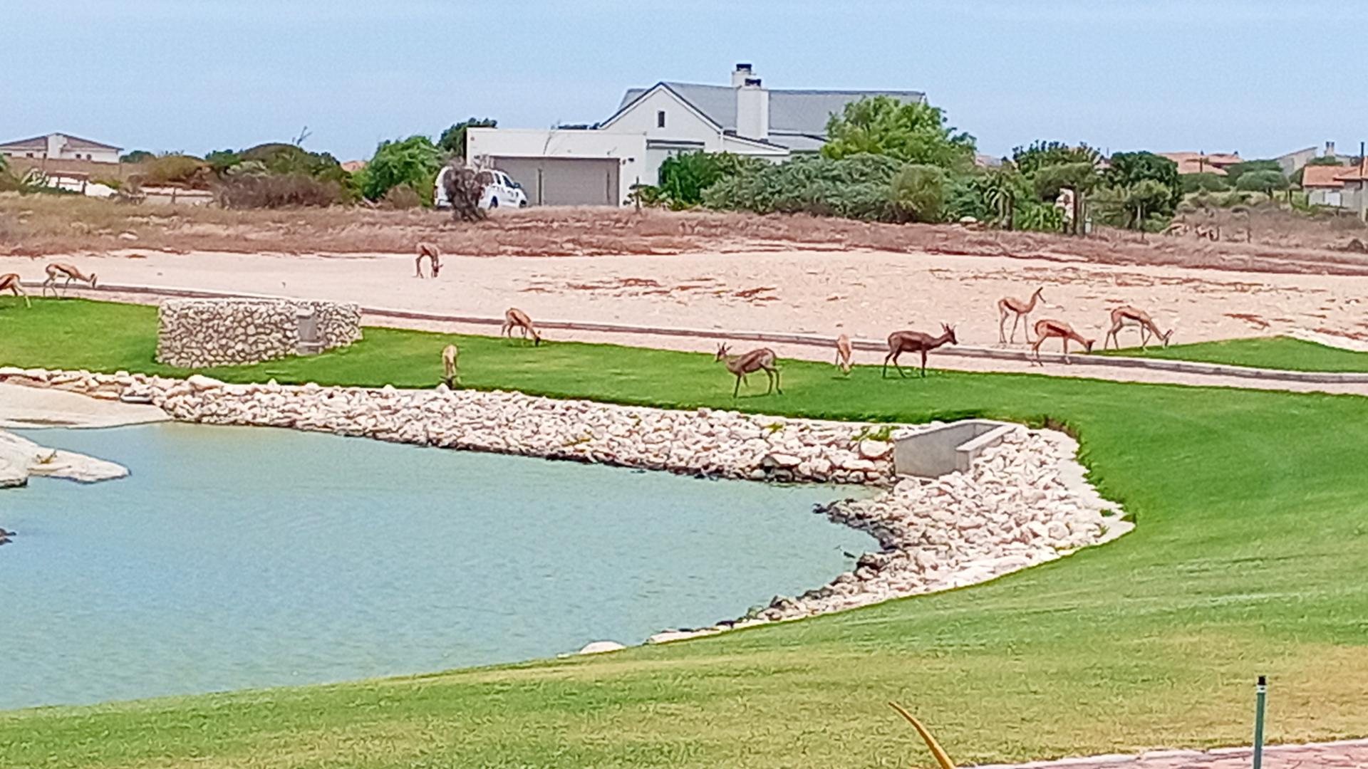  of property in Langebaan Country Estate