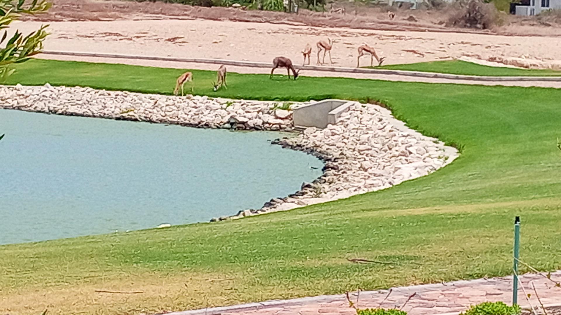  of property in Langebaan Country Estate