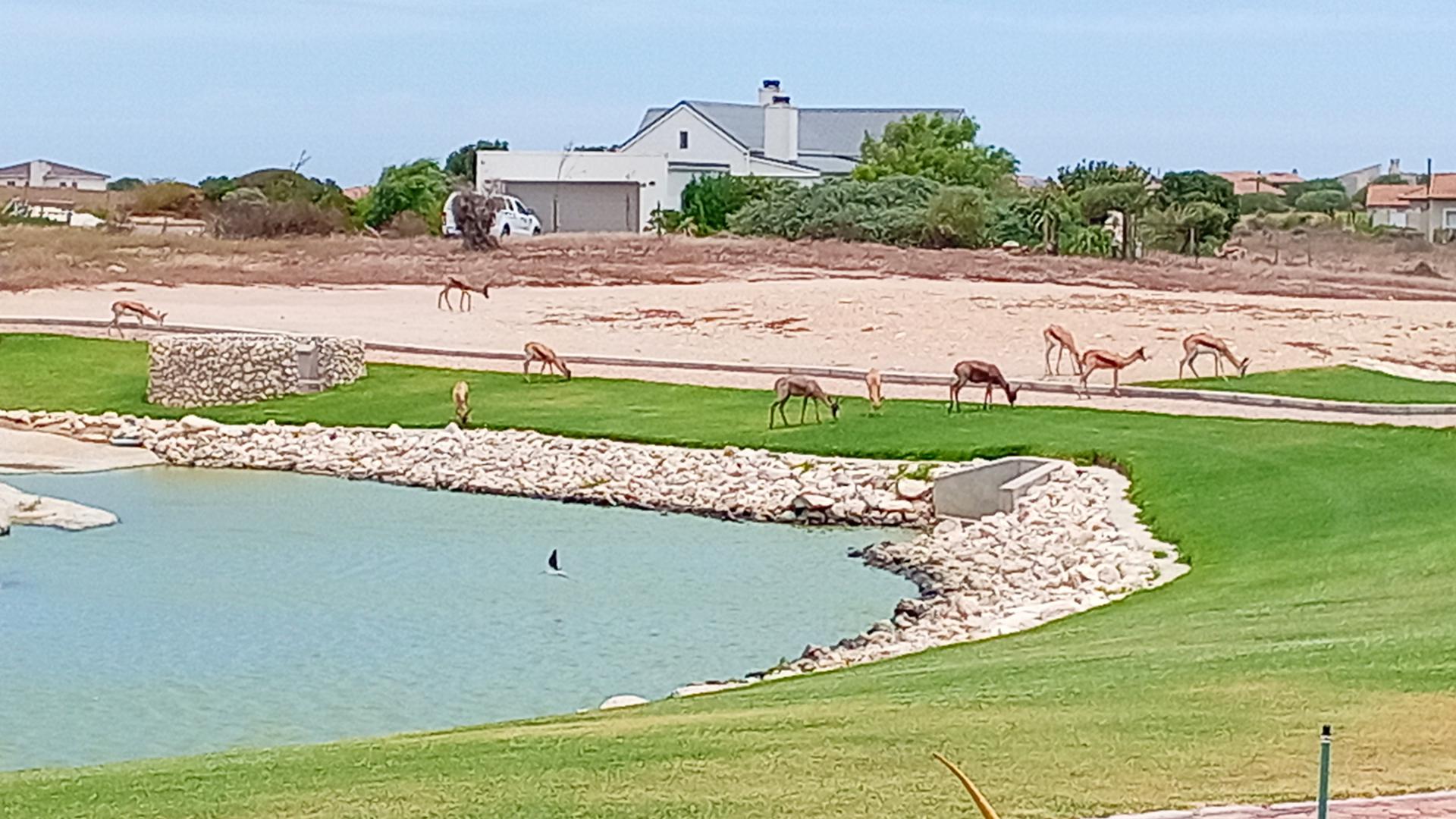  of property in Langebaan Country Estate