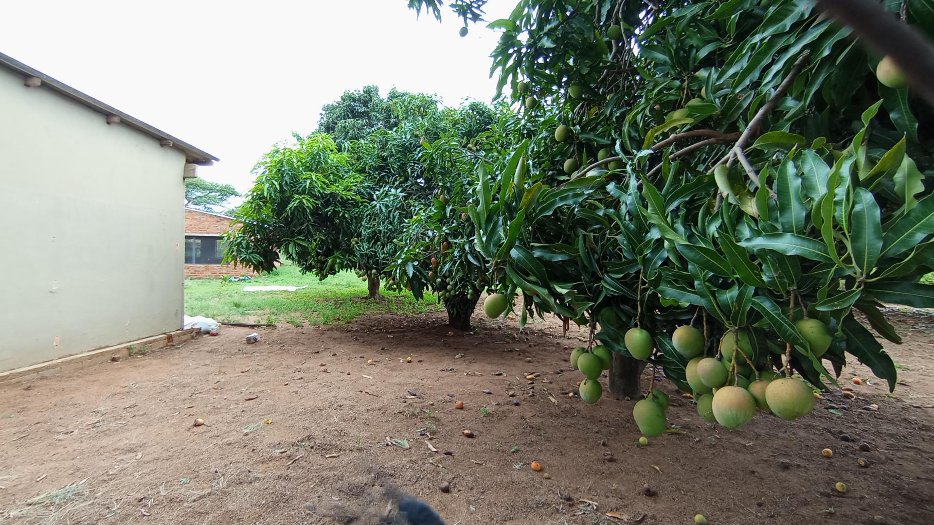 Backyard of property in Soshanguve
