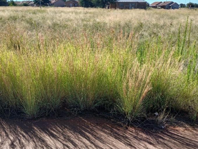 Land for Sale For Sale in Kathu - MR703318