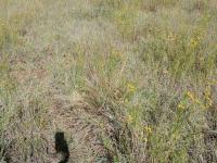  of property in Kathu