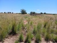  of property in Kathu