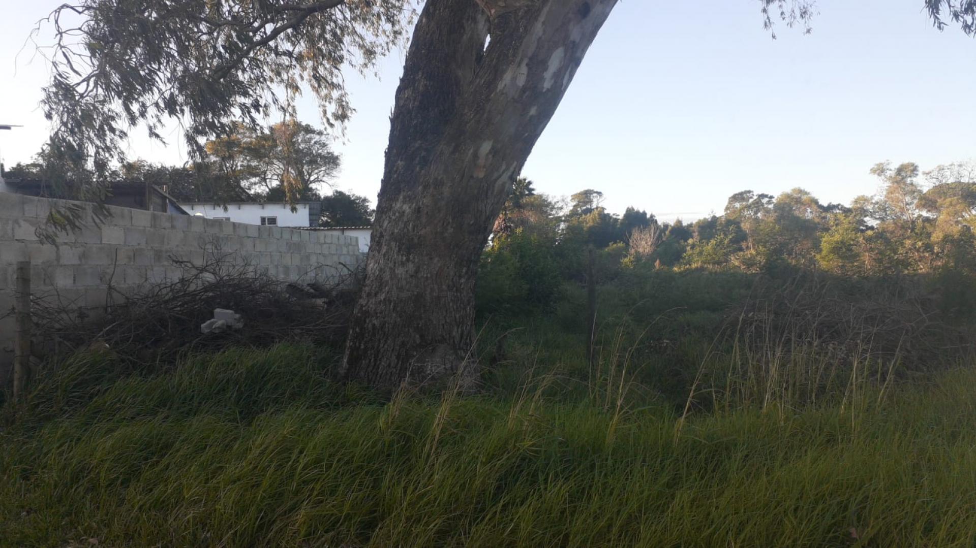  of property in Greenbushes