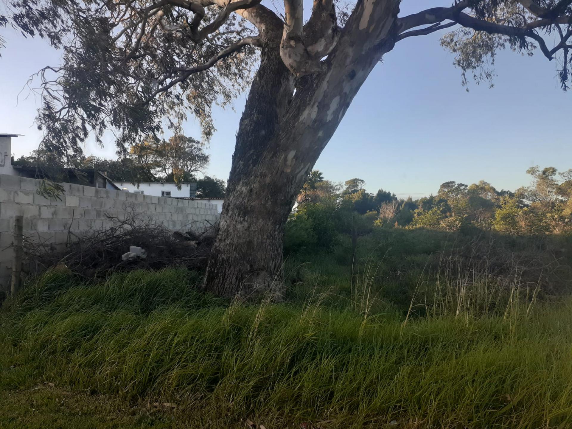  of property in Greenbushes