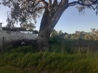  of property in Greenbushes