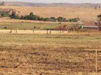  of property in Emalahleni (Witbank) 