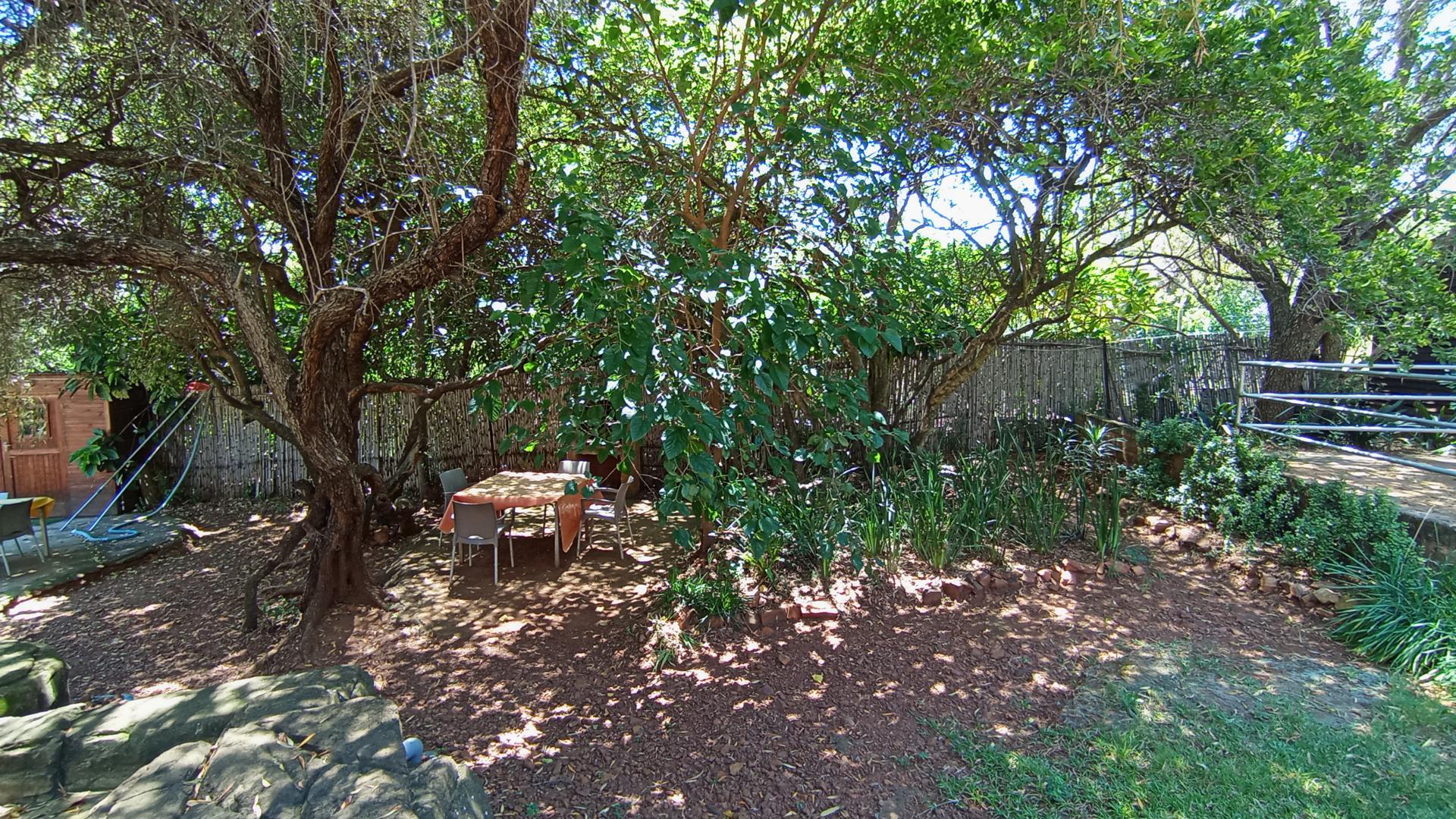 Backyard of property in Elandsfontein JR