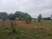  of property in Mooinooi