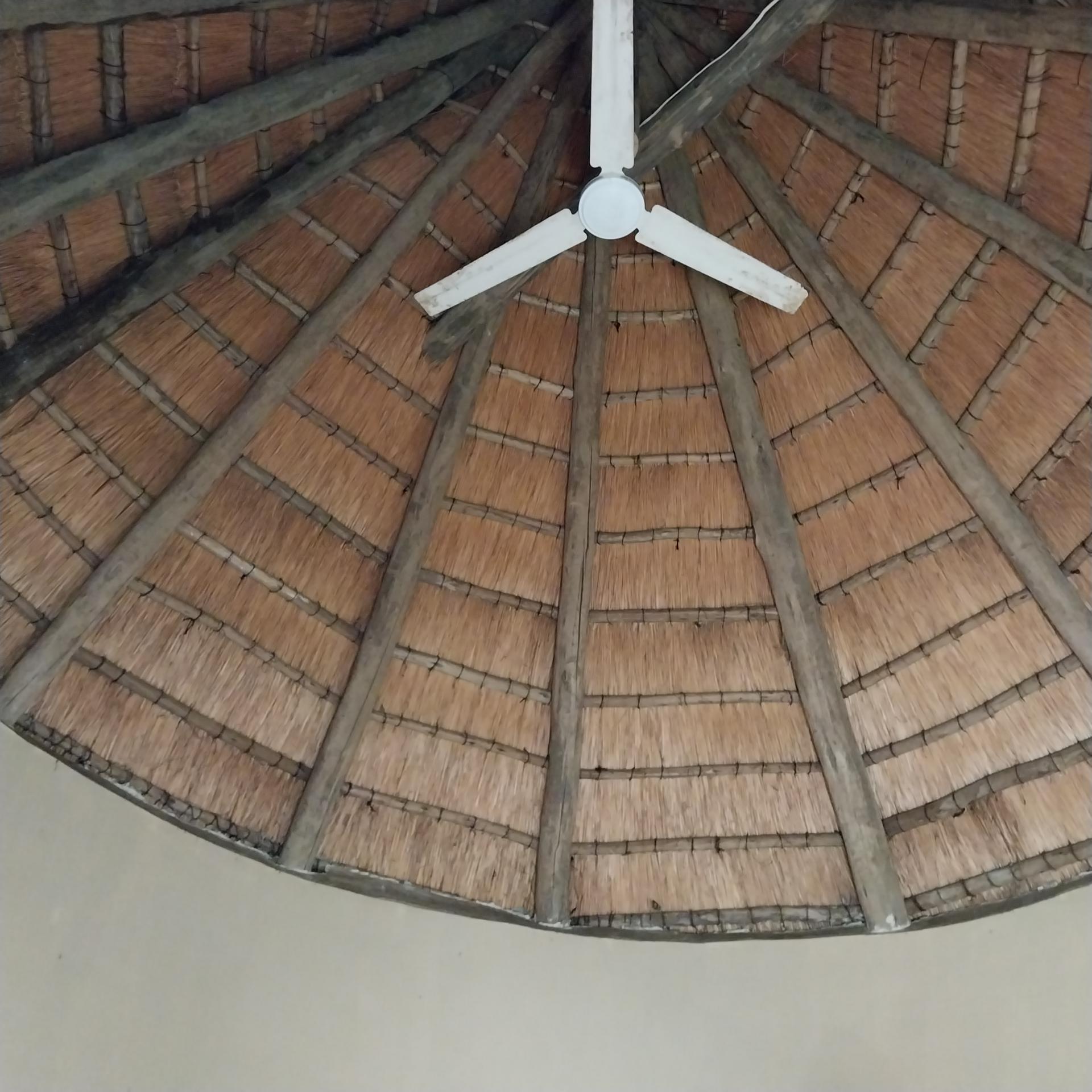  of property in Hibberdene