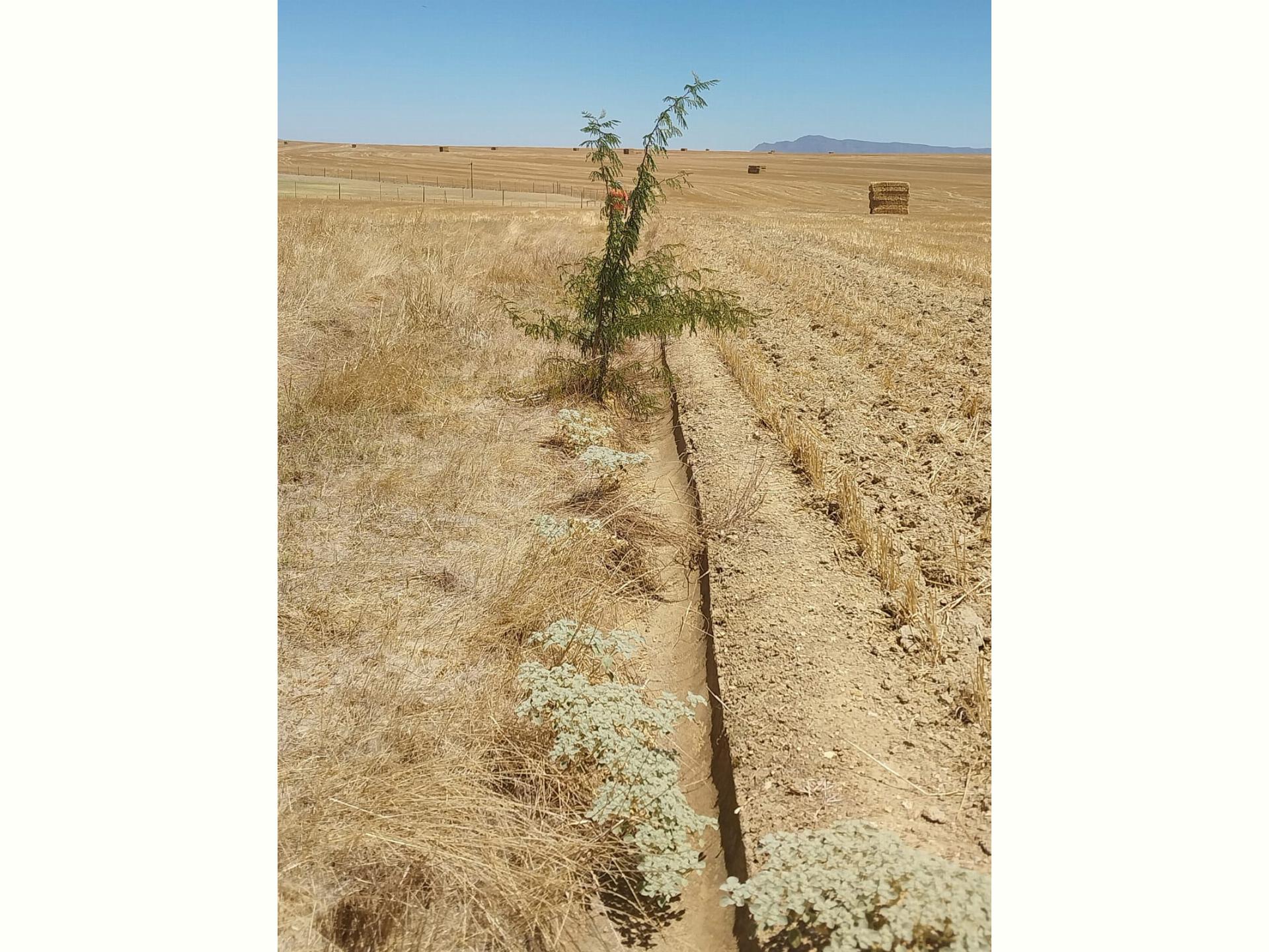  of property in Porterville