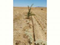  of property in Porterville