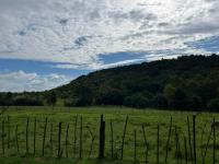  of property in Middelburg - MP