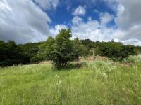  of property in Middelburg - MP