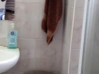  of property in Rewlatch