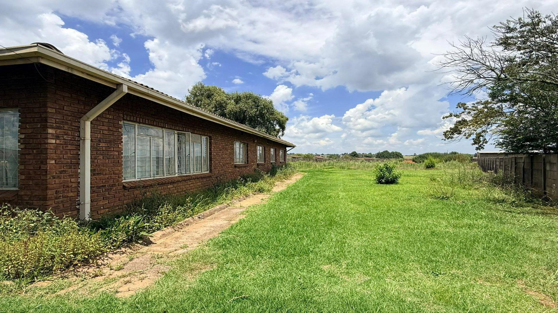 Backyard of property in Belfast