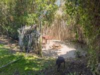  of property in Plettenberg Bay