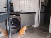  of property in Bassonia