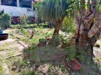  of property in Stanger