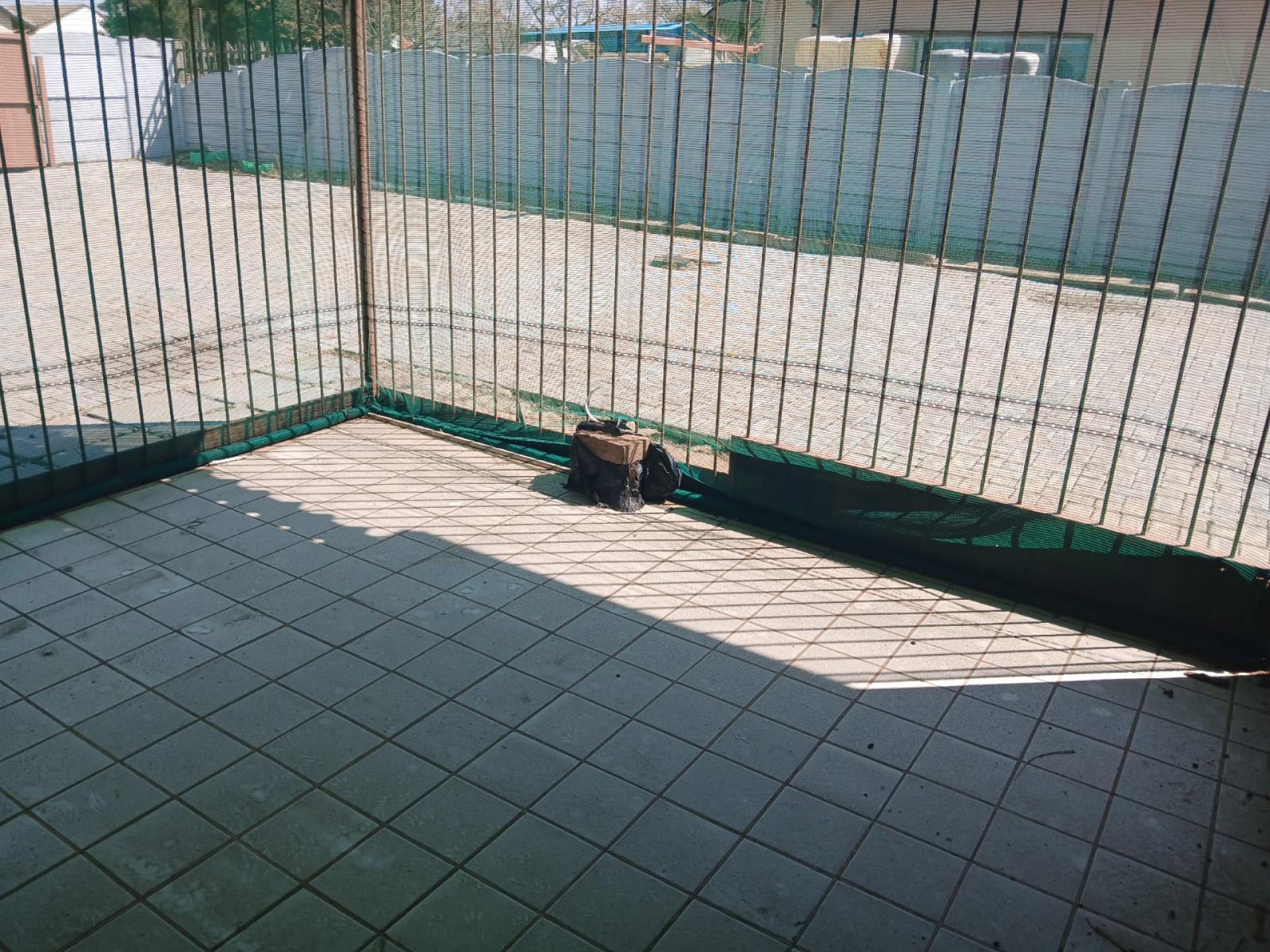  of property in Homer