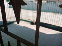  of property in Homer