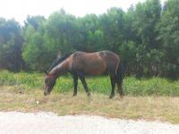  of property in Fishershaven