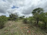  of property in Hoedspruit