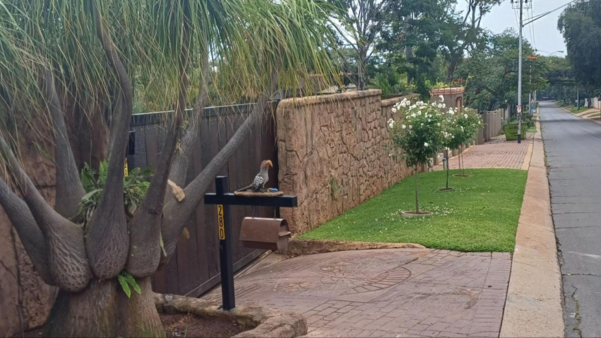 Front View of property in Sinoville