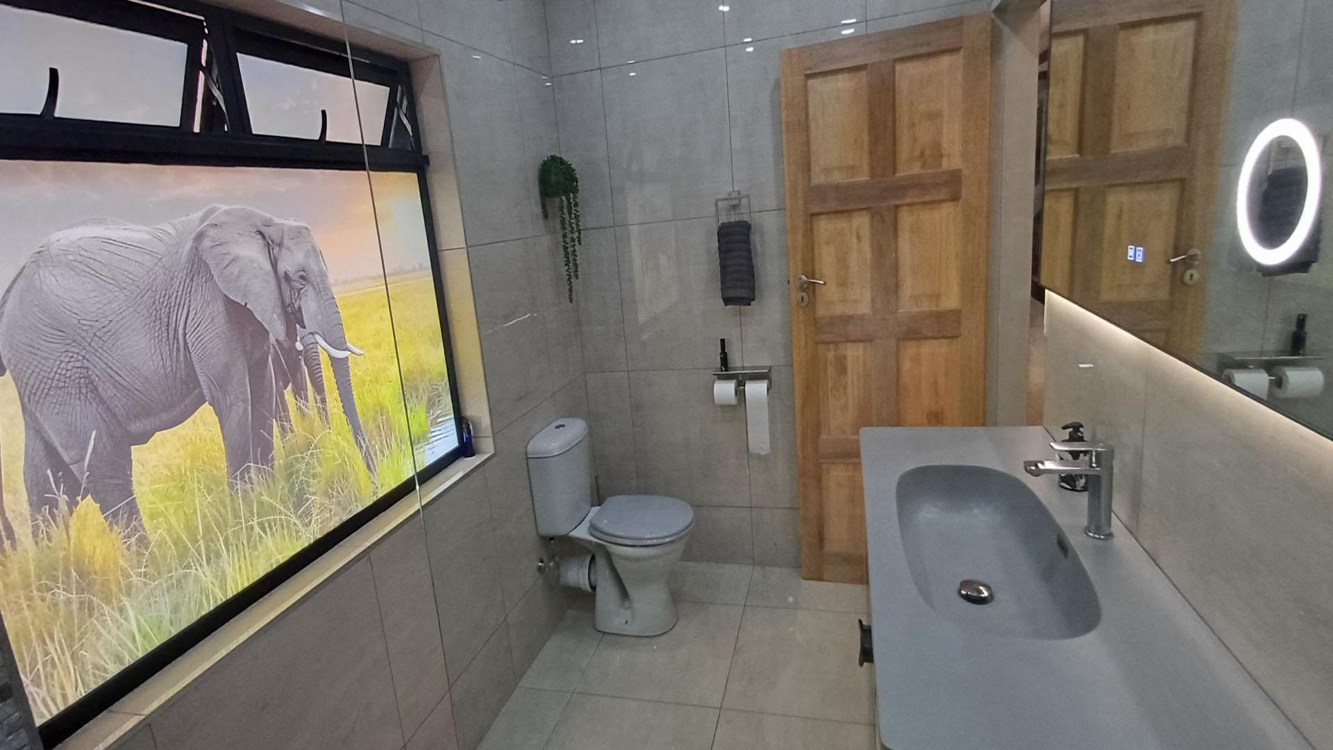 Bathroom 1 of property in Sinoville