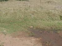  of property in Carolina