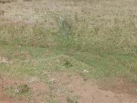  of property in Carolina