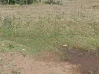  of property in Carolina