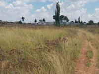  of property in Althea AH