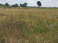  of property in Althea AH