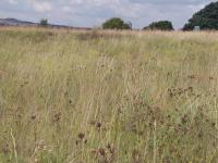  of property in Althea AH