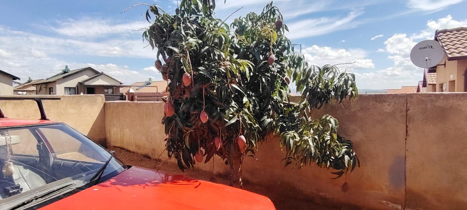  of property in Soshanguve