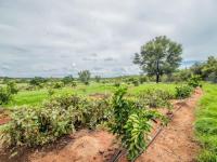  of property in Brits