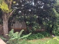  of property in Rembrandt Park