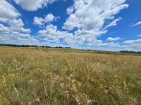  of property in Elandsfontein