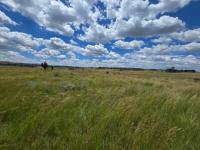  of property in Elandsfontein