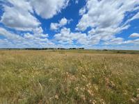  of property in Elandsfontein