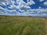  of property in Elandsfontein