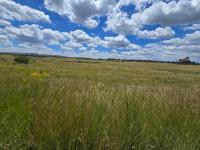  of property in Elandsfontein