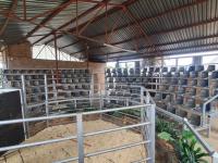  of property in Sundra