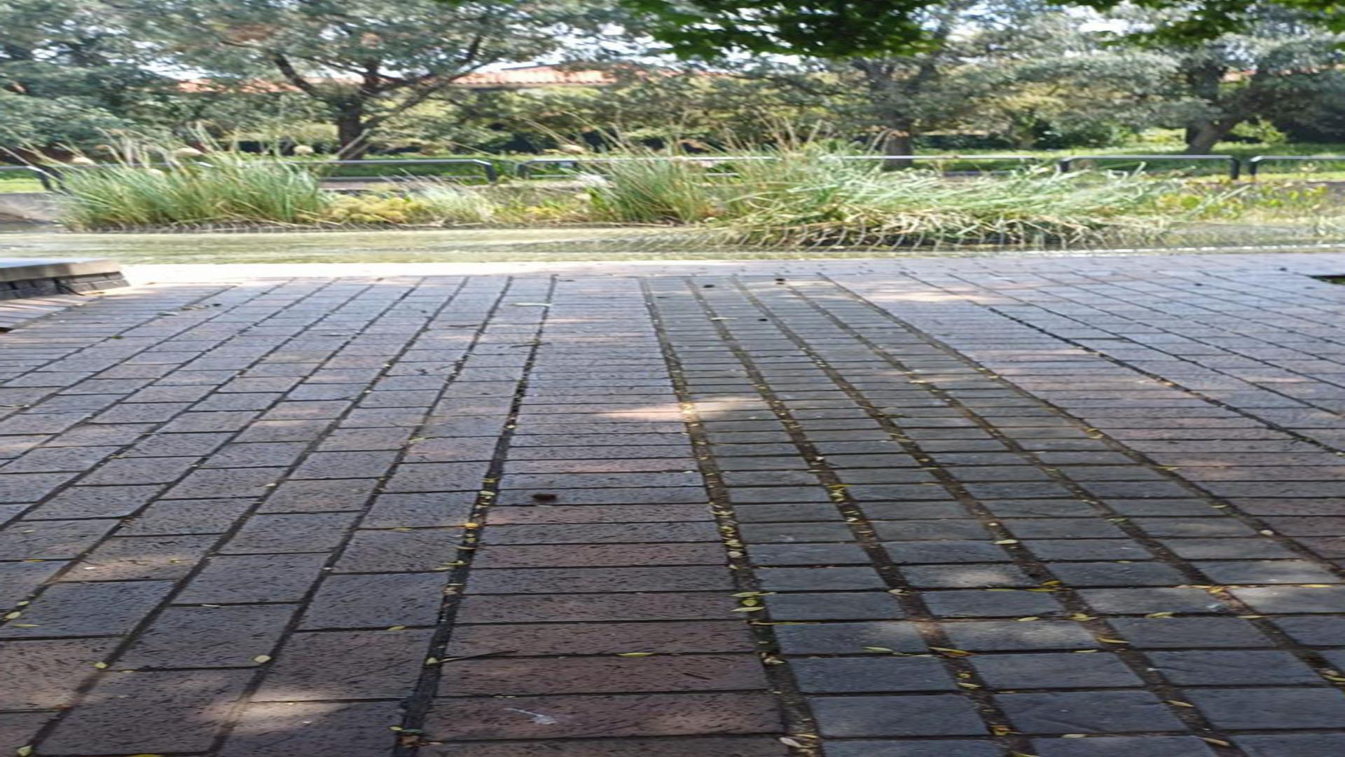 Spaces of property in Bedfordview