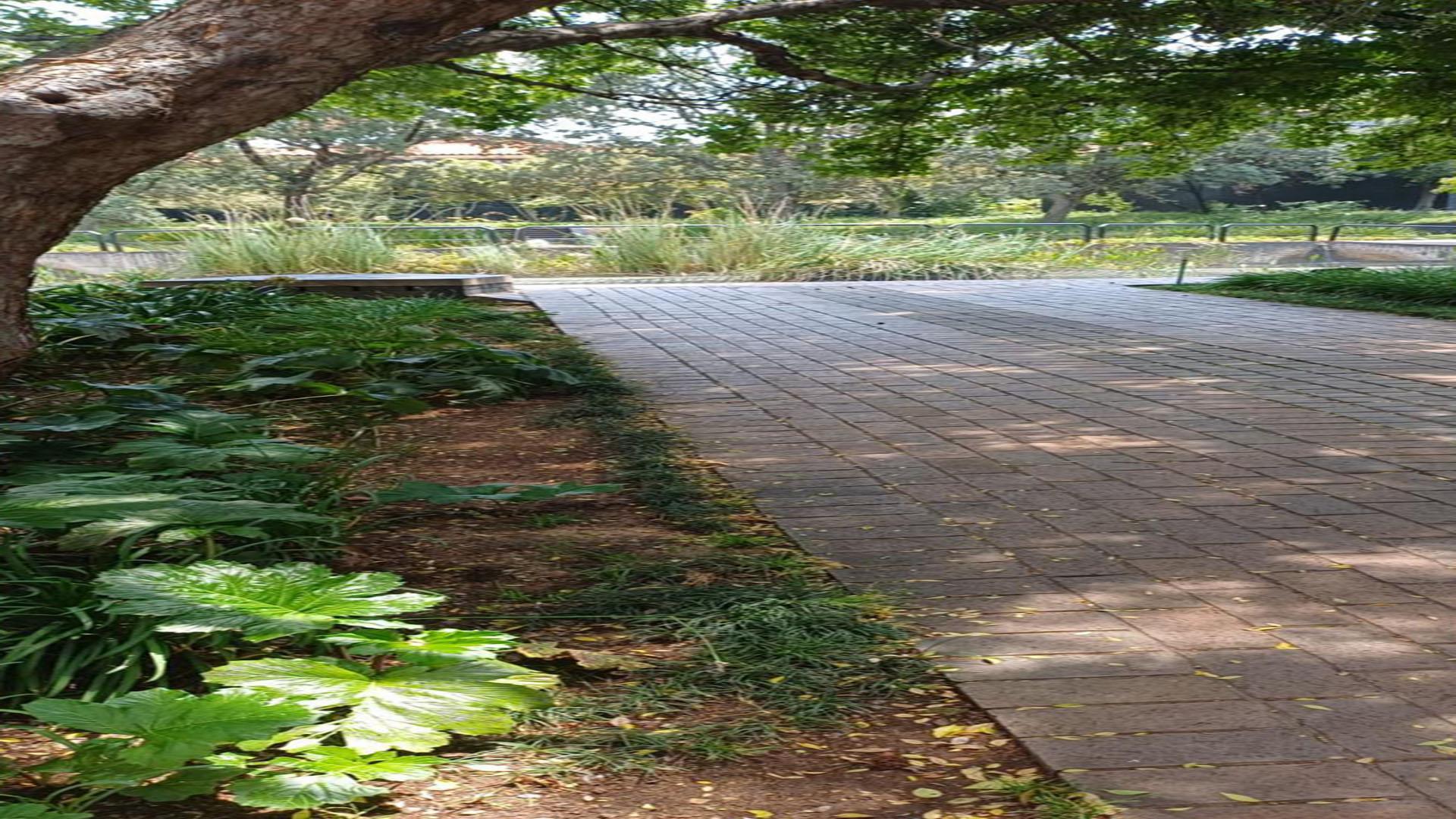 Spaces of property in Bedfordview