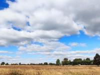  of property in Nelsonia AH