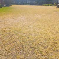  of property in Benoni