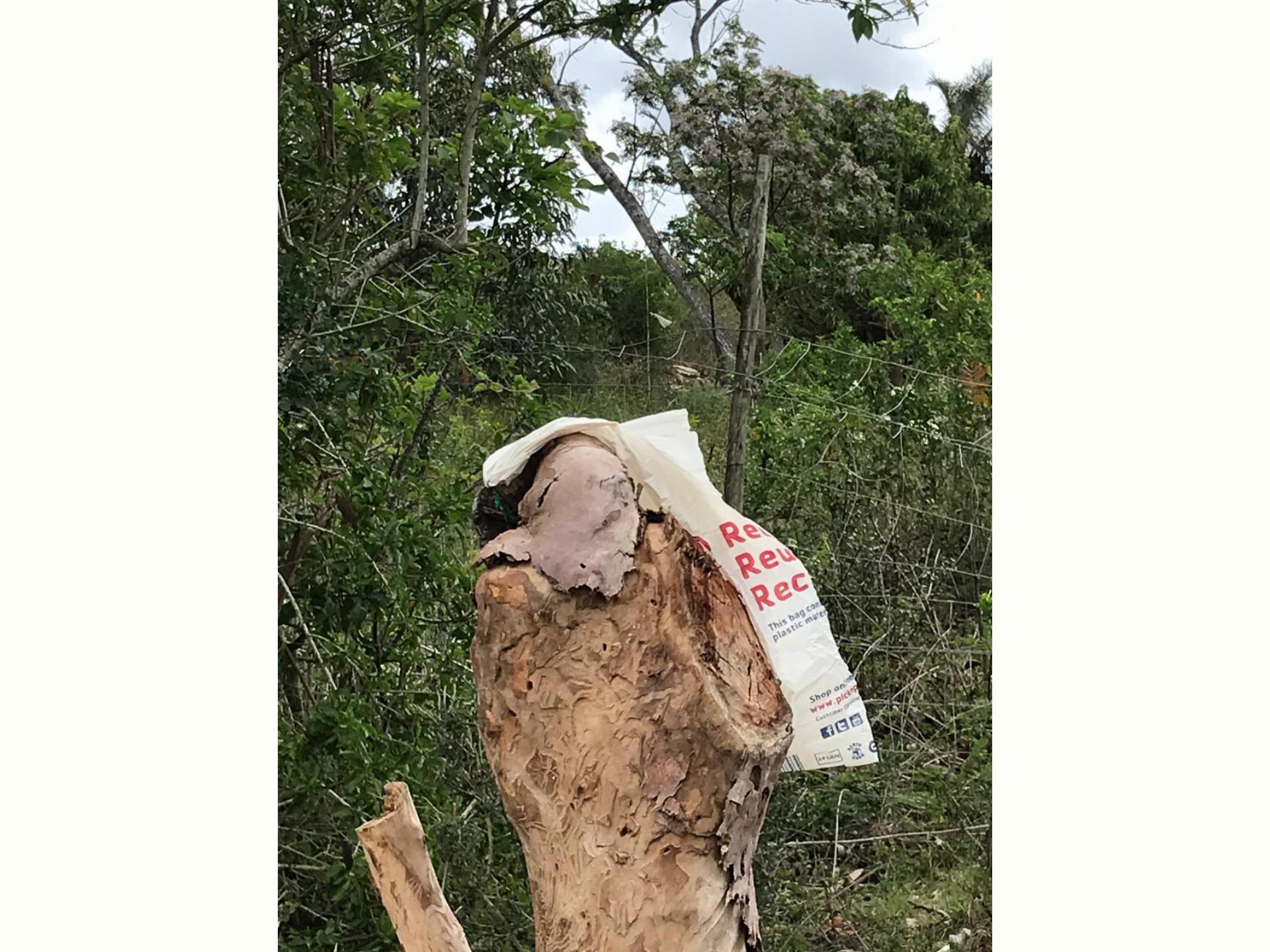  of property in Alexandria